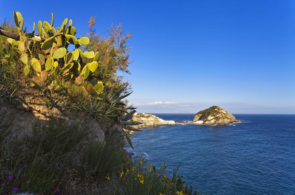 Costa Del Capitano Seaside Villas Sant'Angelo  Extérieur photo